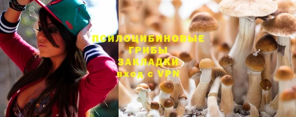 стаф Вязники