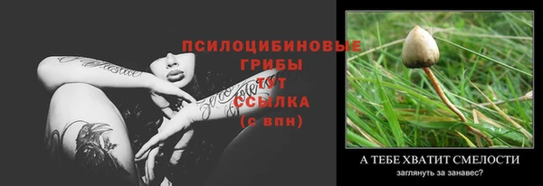 бошки Вяземский
