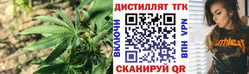 Купить где  Черняховск  ТГК концентрат 