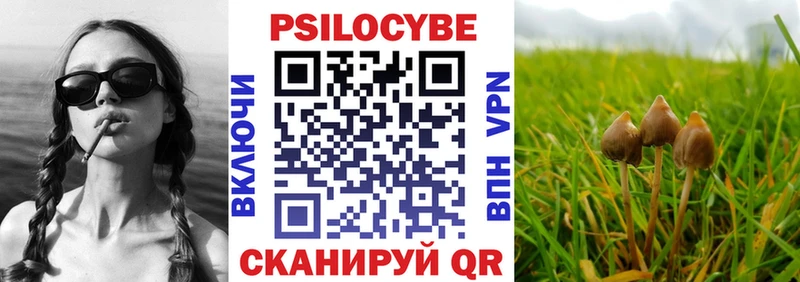 Купить где  Черняховск  Псилоцибиновые грибы мухоморы 